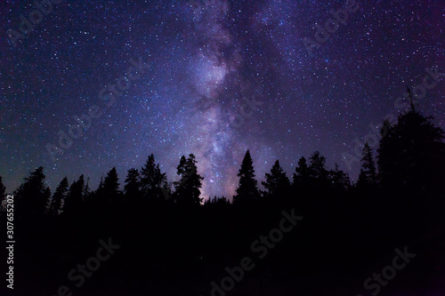 Travel Milky Way Night in forest 