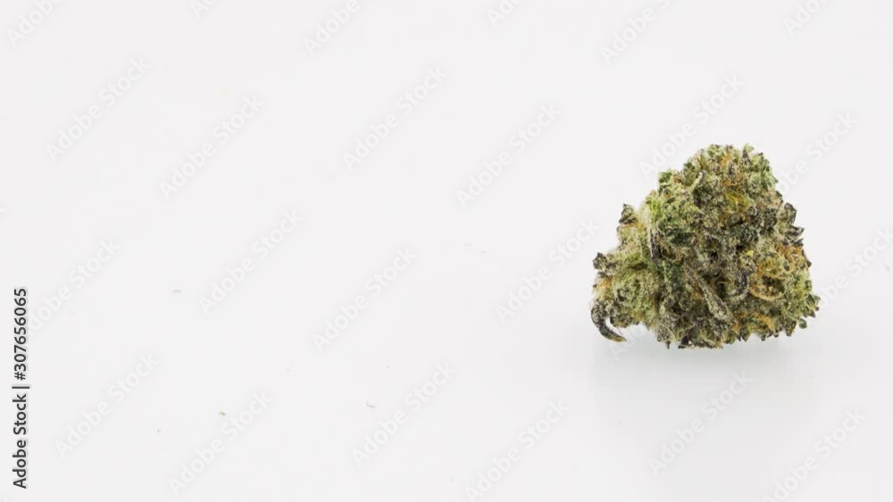 Marijuana Strain, Russian Collusion, Looping Rotation,
Single Bud, Right Frame, in 4K Ultra HD Resolution Marijuana Strain, Russian Collusion, Looping Rotation,
Single Bud, Right Frame, in 4K Ultra HD Resolution