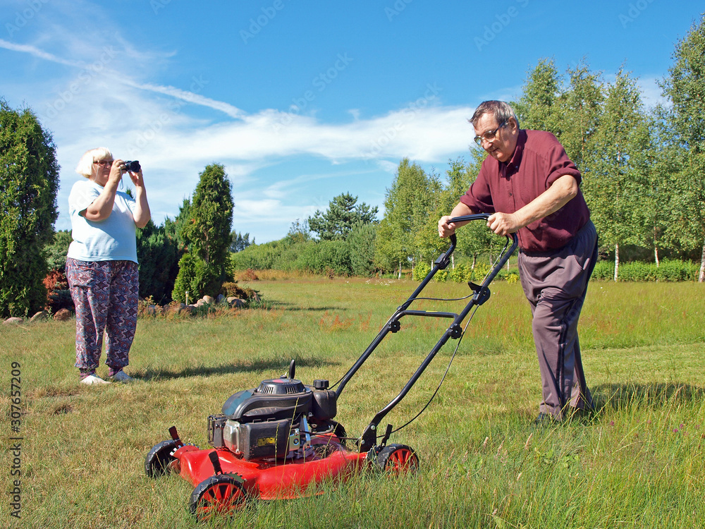Fototapeta premium Grass mower 4