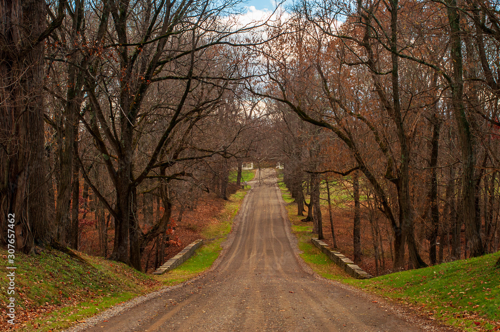 autumn road