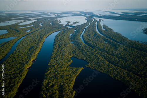 Anavilhanas National Park is home to the second largest river archipelogue in the world, on the Rio Negro. Amazonas, Brazil. photo