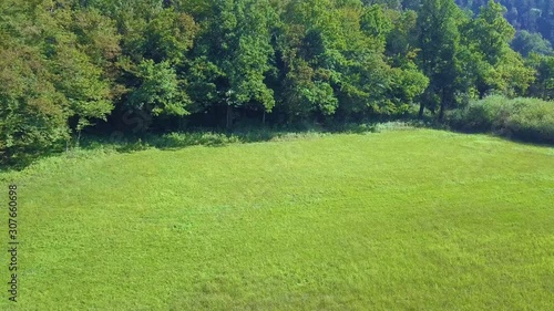 Wallpaper Mural Slovenian karst meadow and river with vibrant green forest, aerial fly over Torontodigital.ca