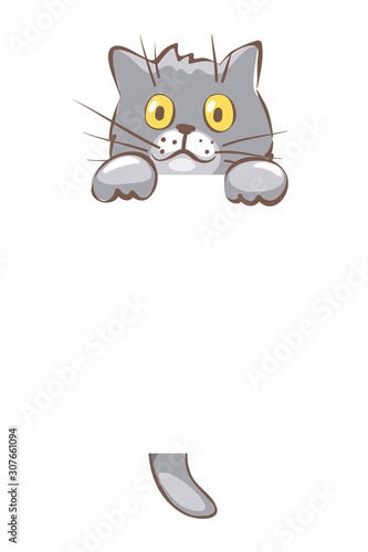 Sly cat. Funny vector illustration with empty space.	