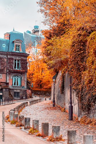 Streets of Montmartre in sunny autumn afternoon, golden trees and cobblestone alley. France. Paris. Autumn in France, old town.