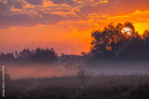 Sunrise through clouds and trees. Fog creeps across the meadow.