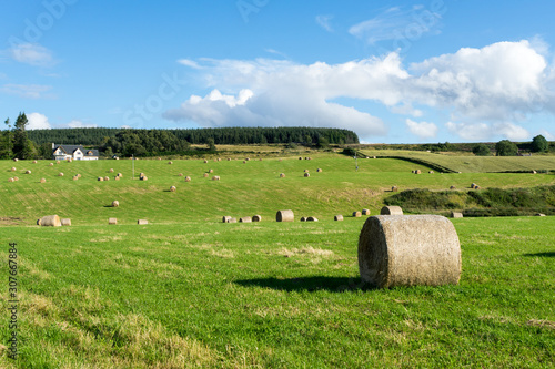 Farm near Culloden