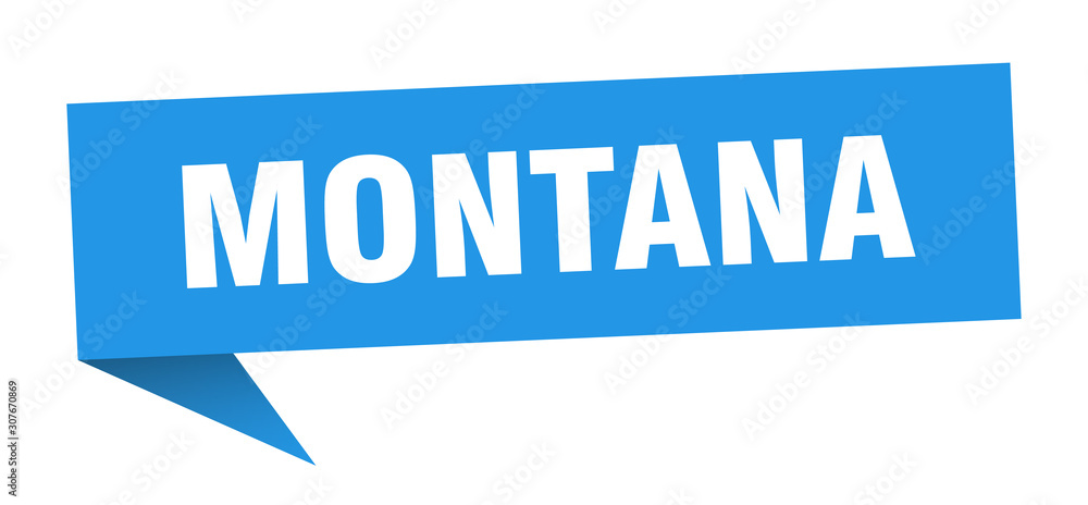 Montana sticker. Blue Montana signpost pointer sign Montana sticker. Blue Montana signpost pointer sign