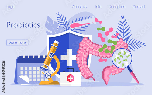 Giving intestine probiotic bacteria, lactobacillus. Healthcare landing page, immunity support concept vector for horizontal banner, poster, flyer, website