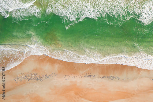 Exotic beach drone photo with waves and birds