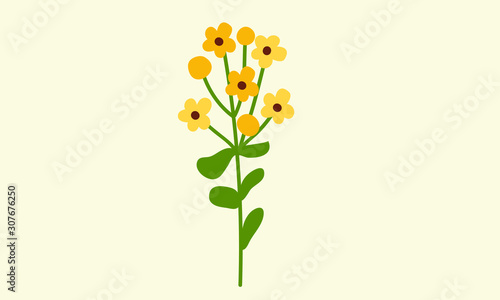 yellow flower isolated on white background © Natalie