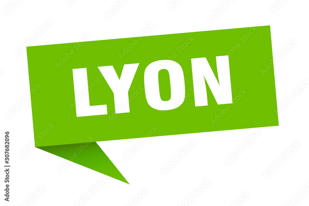 Lyon sticker. Green Lyon signpost pointer sign Lyon sticker. Green Lyon signpost pointer sign