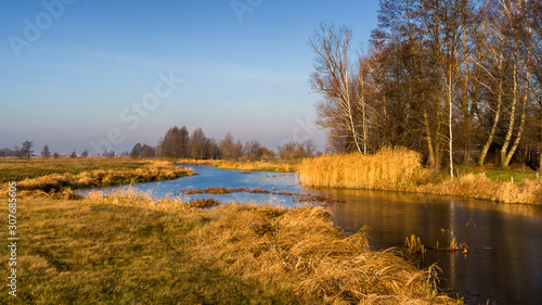 Rzeka Narew w okolicy Suraża, Narwiański Park Narodowy, Dolina Narwi, Suraż, Podlasie, Polska photo