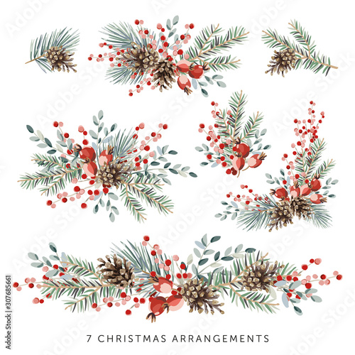 Christmas nature design arrangements collection, white background. Green pine, fir twigs, cones, red berries. Vector illustration. Greeting card, poster elements. Winter Xmas holidays