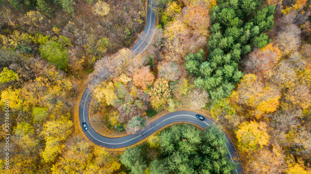 Aerial view of curvy road in forest. Autumn high in mountains. Cars passing each other