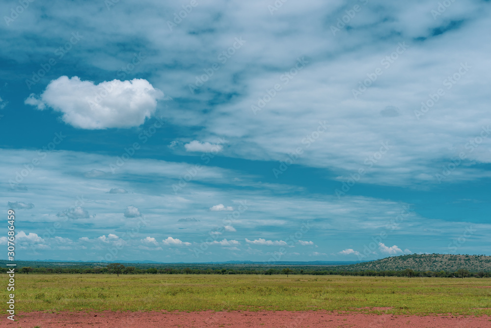 African panorama in Serengeti national park