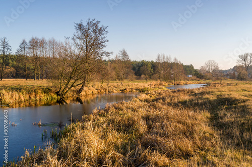 Rzeka Narew w okolicy Suraża, Narwiański Park Narodowy, Dolina Narwi, Suraż, Podlasie, Polska photo