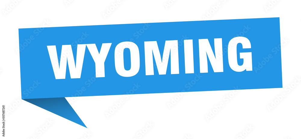 Wyoming sticker. Blue Wyoming signpost pointer sign Wyoming sticker. Blue Wyoming signpost pointer sign