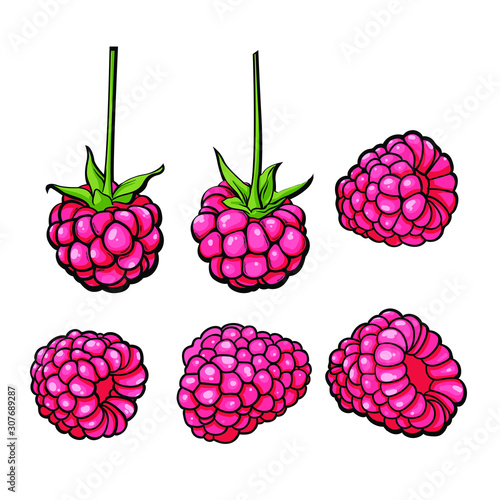 Ripe raspberry sketch set, hand drawn vector illustration