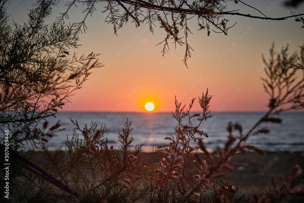 Obraz premium Sunrise in the morning