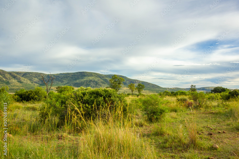 Pilanesberg National Park, South Africa.