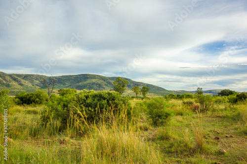 Pilanesberg National Park, South Africa.