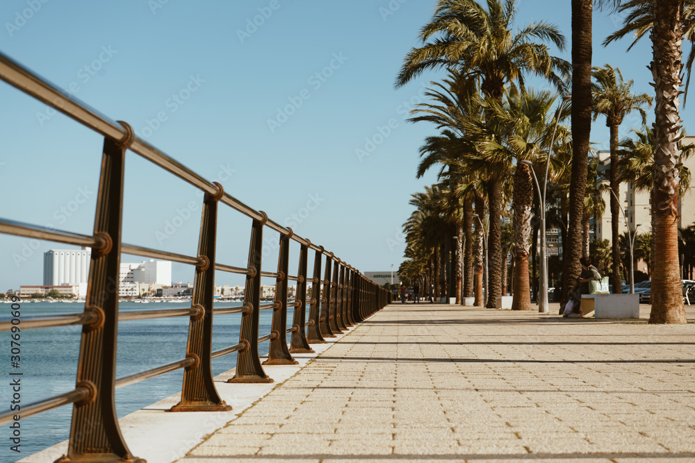 deserted promenade, fenced with railings from the sea and palm trees along the path
