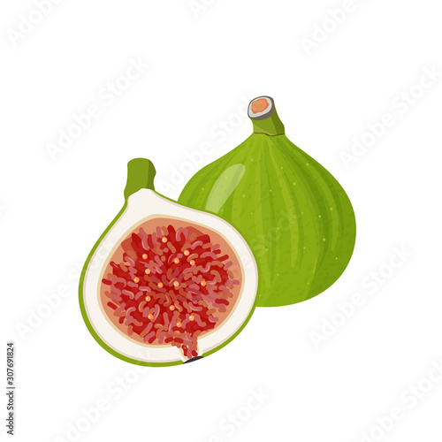 Fresh exotic fruit vector illustration. Figs whole and a half realistic card.