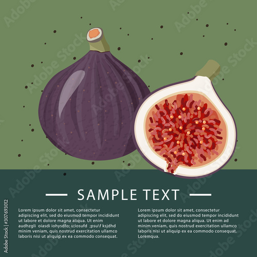 Fresh fruits recipe template. Fig fruits background with text area.