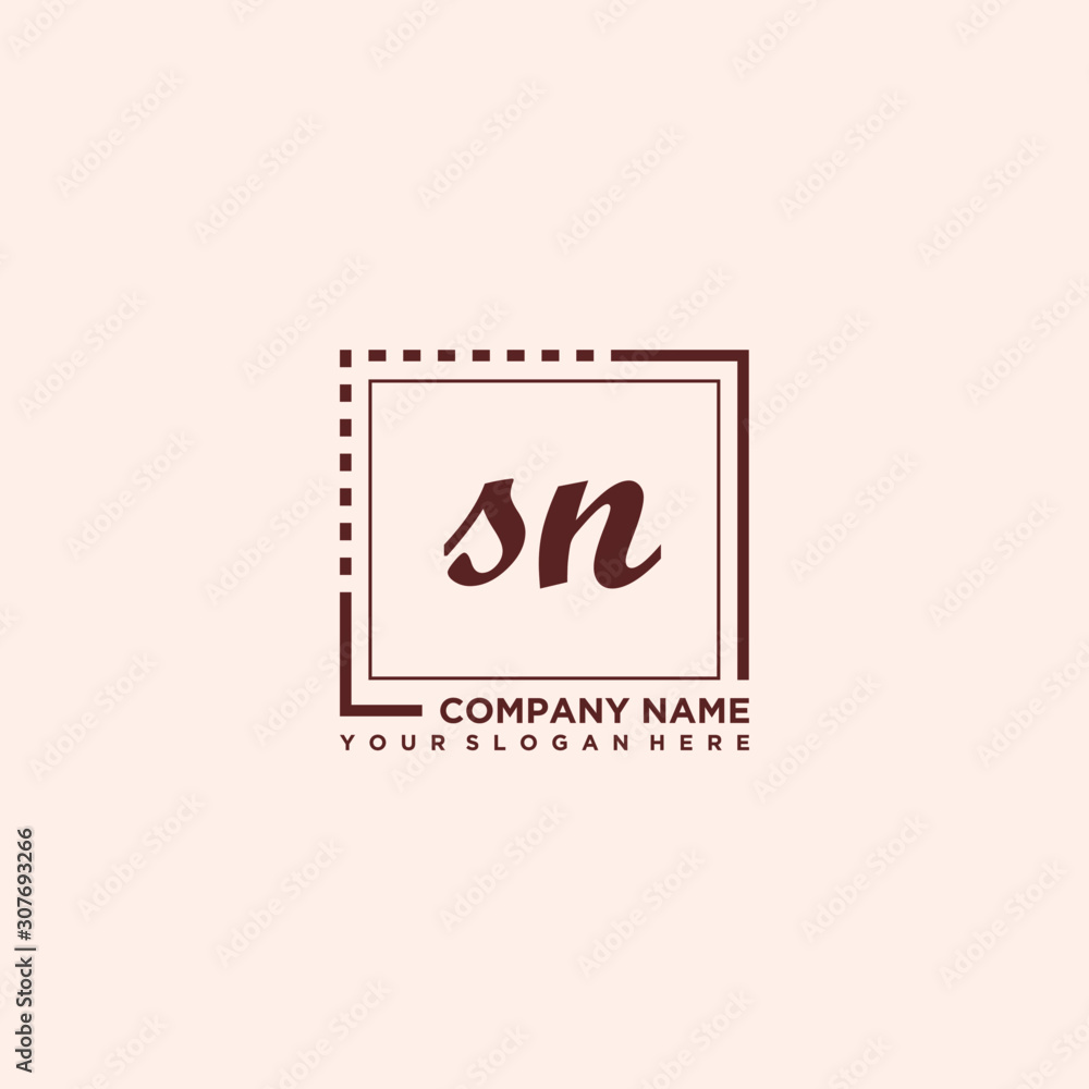 SN Initial handwriting logo concept, with line box template vector