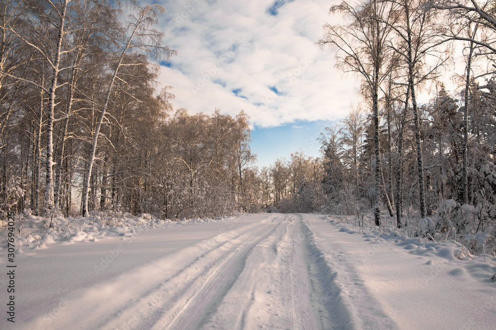 Winter landscape. Forest road between trees covered in fresh white snow. Two wheel prints in the snow.