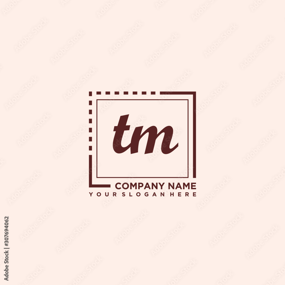 TM Initial handwriting logo concept, with line box template vector