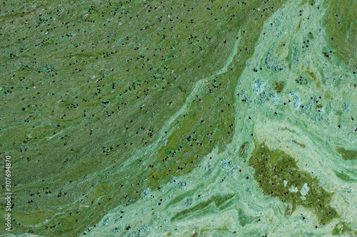Принти на полотні Cropped shot of dirty water, top view