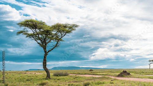 African panorama in Serengeti national park