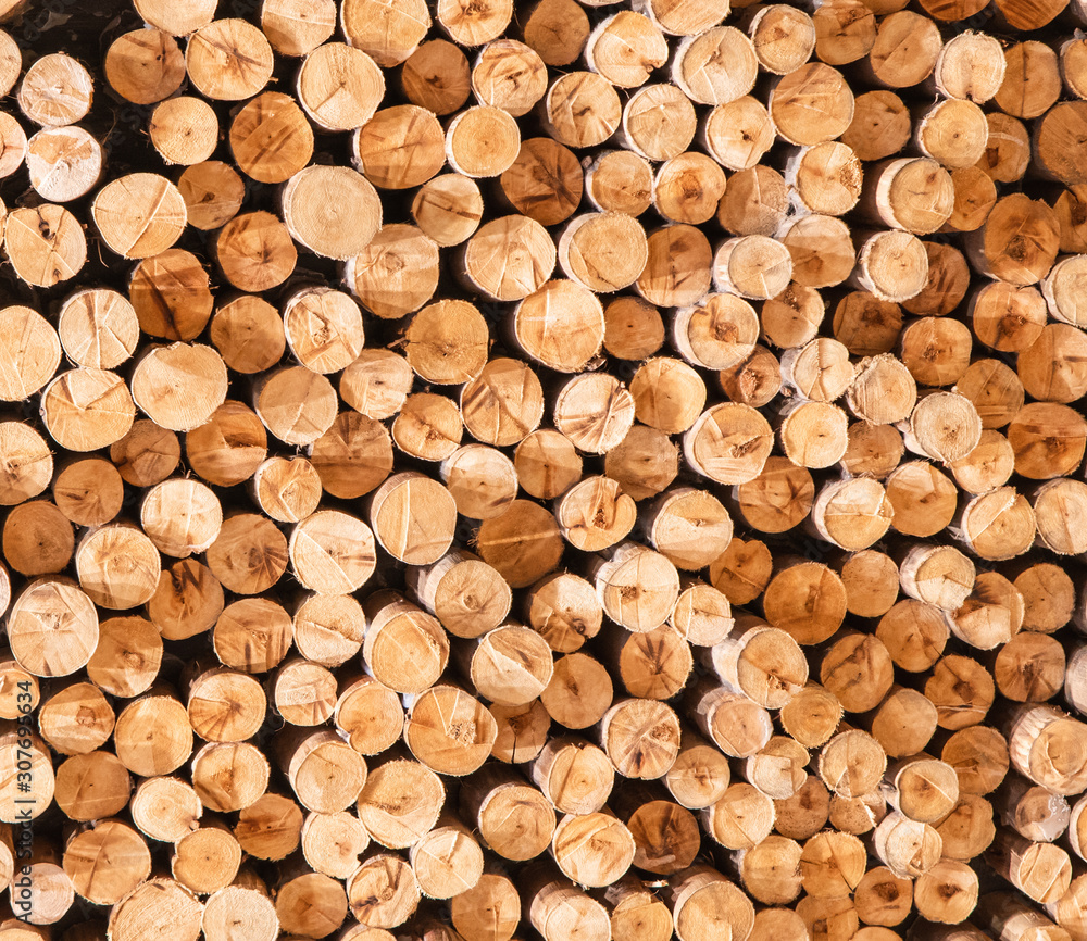 Random and stacked of log wood cut. Background image. Random and stacked of log wood cut. Background image.