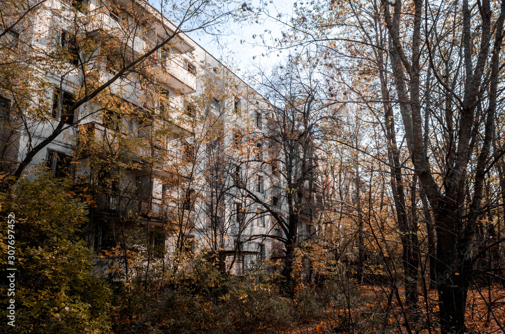 abandoned house among the trees in Chernobyl abandoned house among the trees in Chernobyl