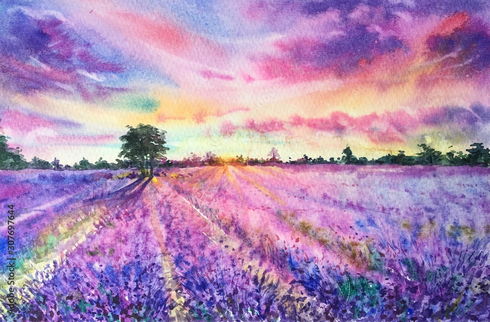 Watercolor lavender field. Lavender field at sunset. Provence France Valensole Plateau. Violet, purple flowers. Horizontal view, copy-space. Template for designs, invitation, card, border, posters.