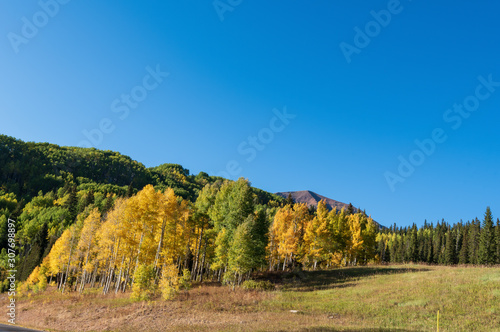 Autumn landscape of trees and mountain along Kebler Pass in Colorado