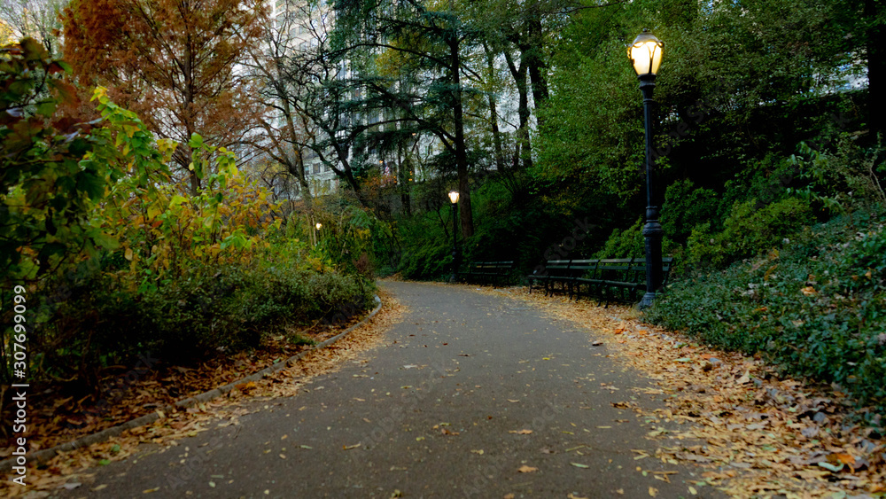 Fototapeta premium The tranquil path 3