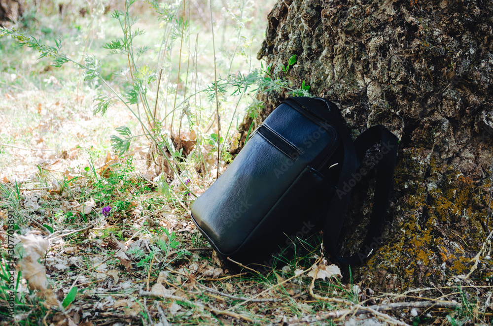 Bag in Sunny day lies in the forest near tree of Bag in Sunny day lies in the forest near tree of