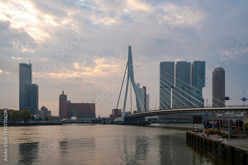 Rotterdam Skyline with Erasmusbrug bridge in the morning  Netherlands.