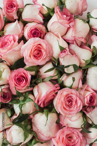 Floral composition with pink rose flowers pattern texture background. Flatlay  top view.