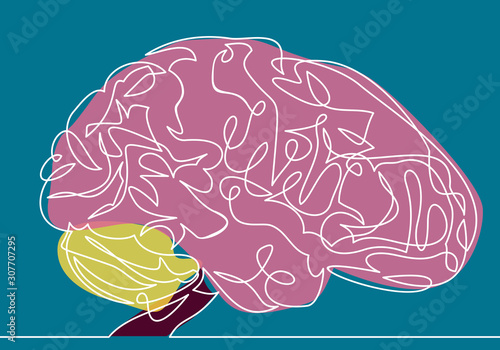 Vector line brain-continuous line drawing