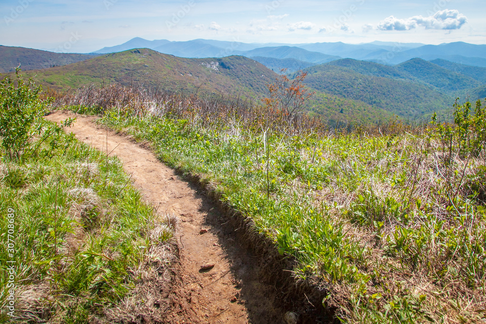 Path towards Mountains Path towards Mountains