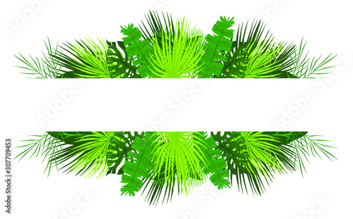 Vector flat cartoon tropical foliage, banner, floral design background, vector illustration with place for text