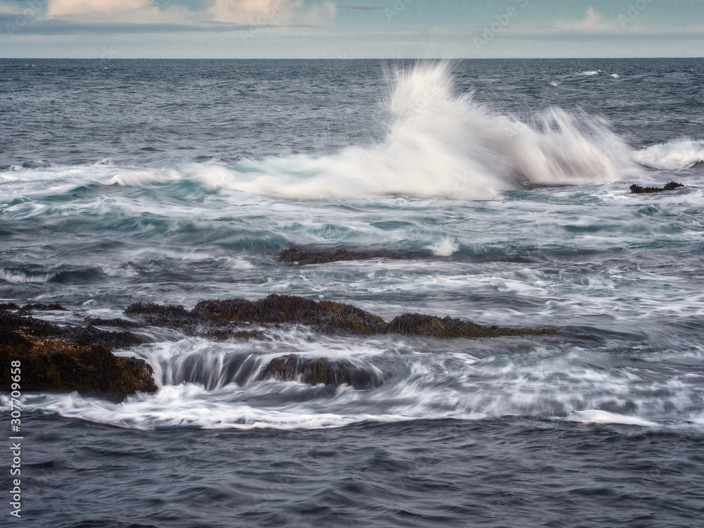 Waves of the Barents Sea