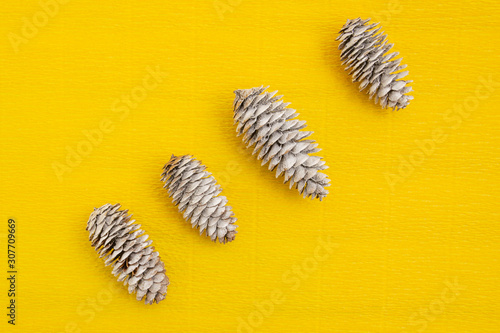 Fir cones lie on a yellow background.