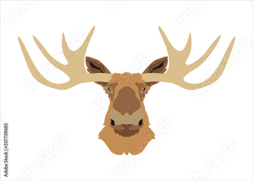 elk head flat icon