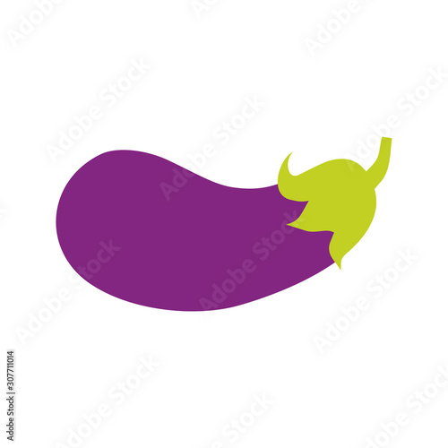 Vector illustration of eggplant. Eggplant icon.