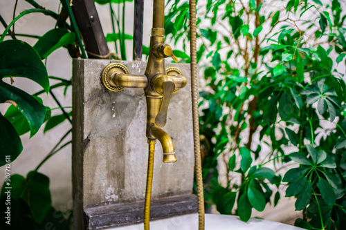 faucet Golden colors in the bathroom on a background of green plants