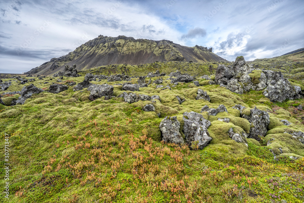 moss covered lava field with cloud covered sky in southern Iceland, landscape photography